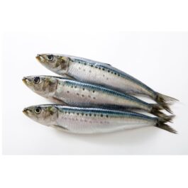 Sardinha Congelada Portuguesa Kg