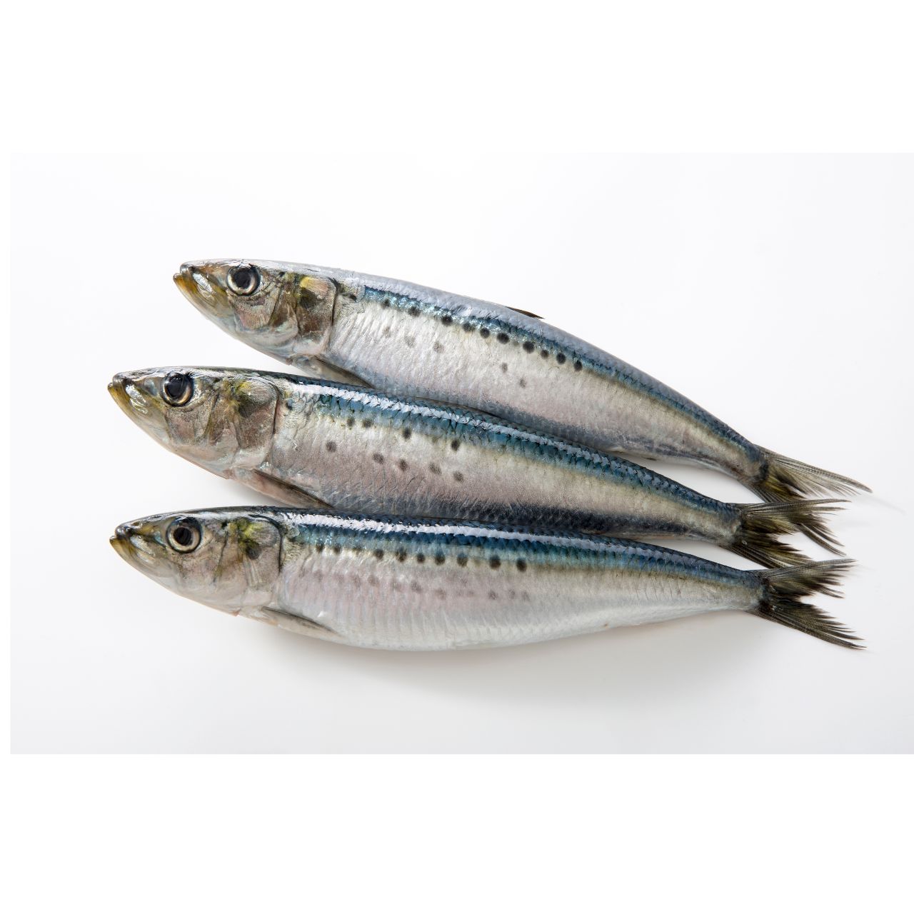 Sardinha Congelada Portuguesa ao Quilo Gi Supermercado